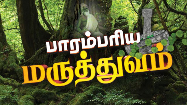 TV-Series - Paarambariya Maruthuvam - TVwiz